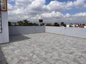 Roof 2 4 Árboles